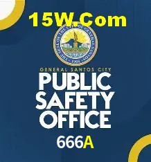 Experiência VIP 666A